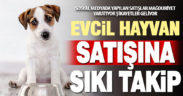 Sosyal medyadan evcil hayvan satanlara sıkı takip