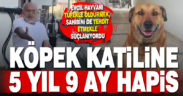 Denizli’de köpeği öldüren, sahibini tehdit eden sanığa 5 yıl 9 ay hapis