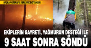 İsrafil Deresindeki yangın söndürüldü