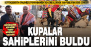 Denizlililer deve güreşine akın etti