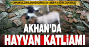 Akhan’da sahipli ve sokakta yaşayan 9 hayvan öldürüldü