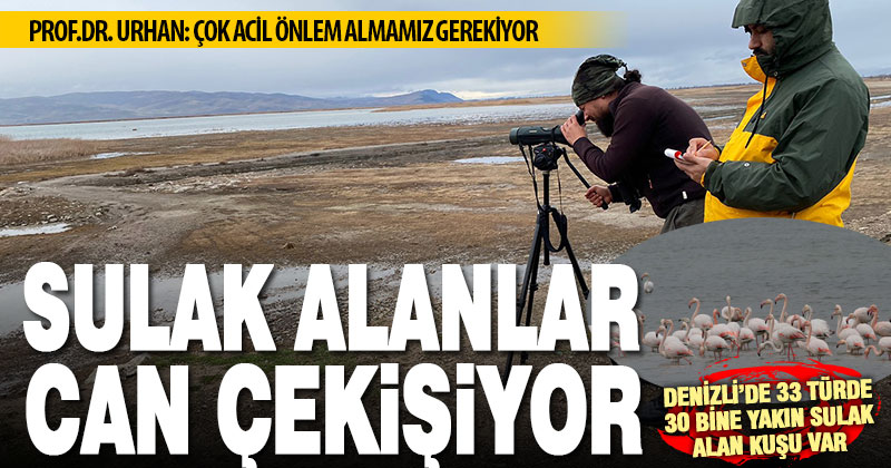 Sulak alanlarda kuş sayımı yapıldı: Göl ve göletler yok olma tehlikesinde