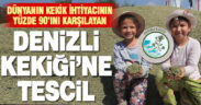 Denizli Kekiği tescillendi