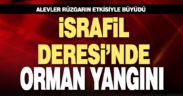 Denizli’de ormanlık alanda başlayan yangın rüzgarın etkisiyle büyüdü