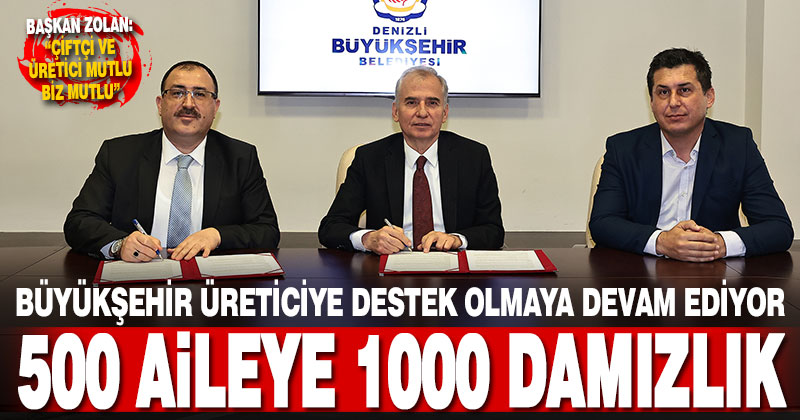 Büyükşehir üreticiye destek olmaya devam ediyor. 500 aileye, 1000 damızlık koç ve teke