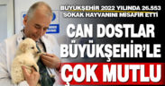 Büyükşehir 2022 yılında 26.553 sokak hayvanını misafir etti