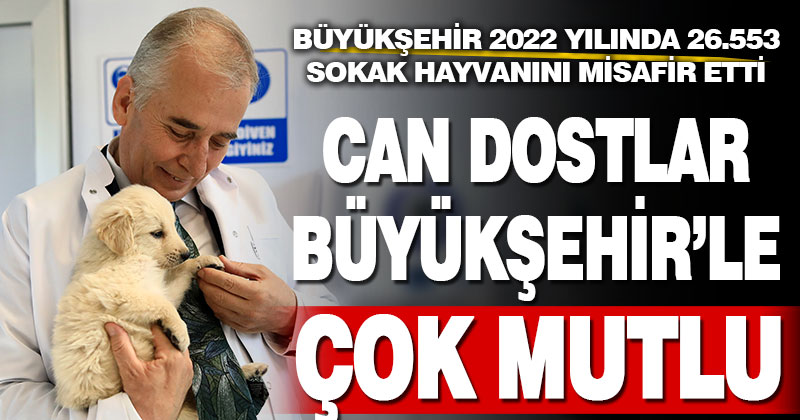 Büyükşehir 2022 yılında 26.553 sokak hayvanını misafir etti