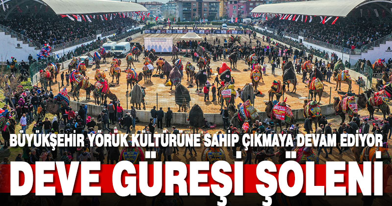 Büyükşehir Yörük kültürüne sahip çıkmaya devam ediyor. Denizli’de deve güreşi şöleni