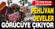 Deve güreşi heyecanı kortejle başlayacak