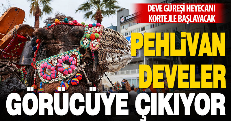 Deve güreşi heyecanı kortejle başlayacak