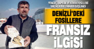 Travertenlerden çıkan fosilleri Fransızlar takibe aldı