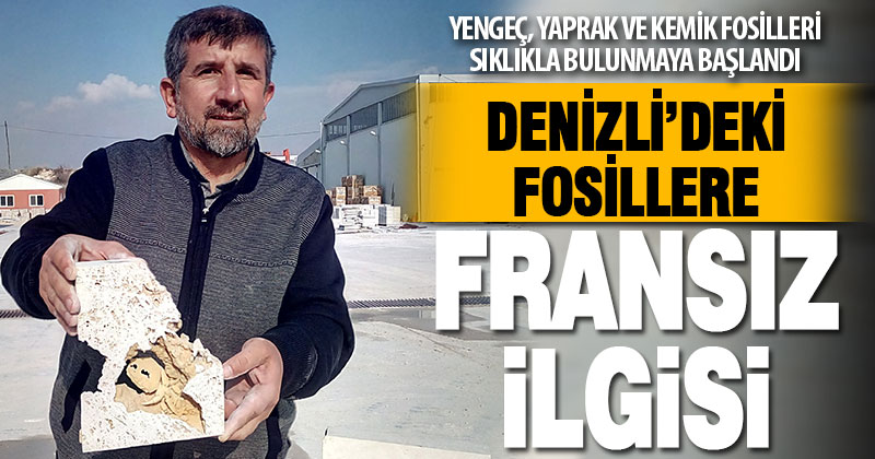 Travertenlerden çıkan fosilleri Fransızlar takibe aldı