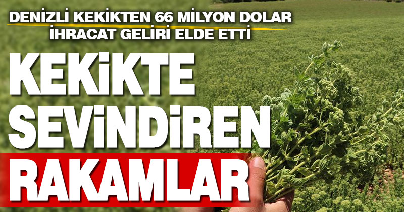 Denizli kekikten 66 milyon dolar ihracat geliri elde etti