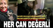 Günlerdir yardım dilenen kediyi Denizli ekibi böyle kurtardı