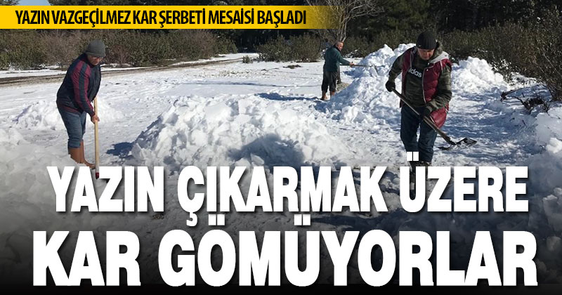 Yazın çıkarılmak üzere kar gömüyorlar