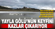 Buz tutmaya başlayan Buldan Yayla Gölü’nün keyfini kazlar çıkardı