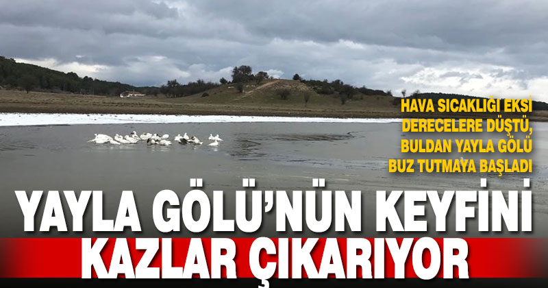 Buz tutmaya başlayan Buldan Yayla Gölü’nün keyfini kazlar çıkardı