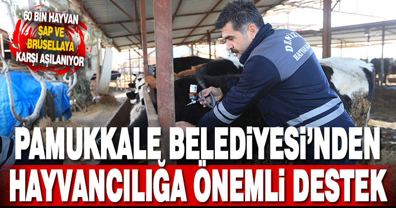 Pamukkale Belediyesi 60 bin hayvanı aşılamaya başladı