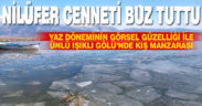 Nilüferleriyle meşhur Işıklı Gölü buz tuttu