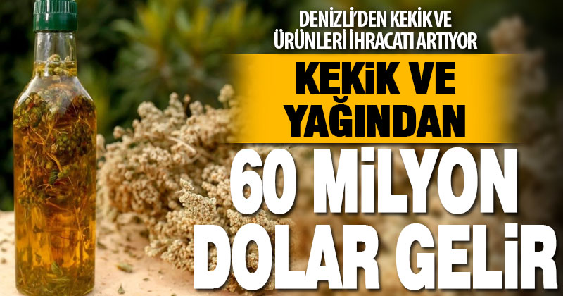 Denizli kekik yağı ihracatından 60 milyon dolar kazandı