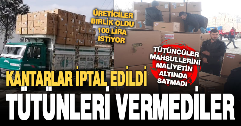 Tütüncüler fiyatı az buldu, tütünlerini vermedi