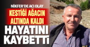 Kestiği ağaç üzerine devrilen adam öldü