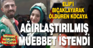 Elif Irmak cinayetinde kahreden gerçek
