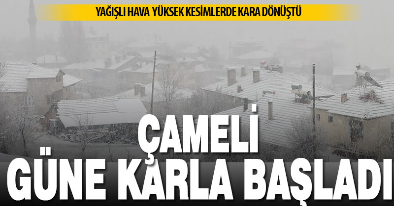 Çameli kar yağışıyla beyaza büründü