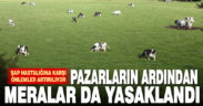 Hayvan pazarlarının ardından meralar da yasaklandı