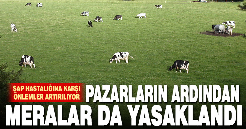 Hayvan pazarlarının ardından meralar da yasaklandı