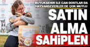 Büyükşehir ile can dostlar da, hayvanseverler de çok mutlu
