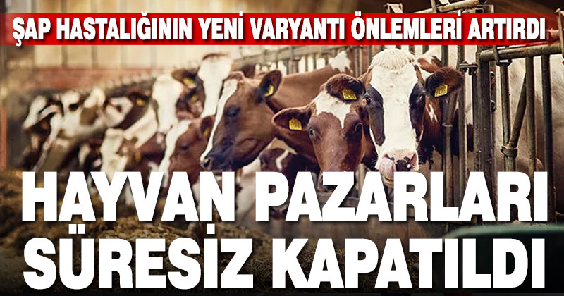 Denizli’de hayvan pazarları süresiz kapatıldı