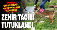 11 kilo esrarı arı kovanı ve sazlıklara gizleyen oğul tutuklandı, baba serbest kaldı