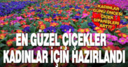 Çiçekler ‘Kadınlar Günü’ için hazırlandı
