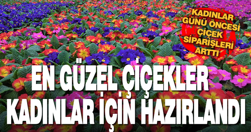 Çiçekler ‘Kadınlar Günü’ için hazırlandı