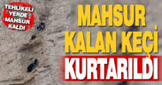 Sarp yamaçta mahsur kalan keçi kurtarıldı