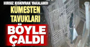Denizli’de kümesten tavuk hırsızlığı güvenlik kamerasında