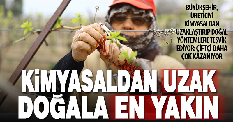 Büyükşehir’den 3 bin 900 dekar alanda biyoteknikle mücadele desteği