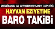 Hayvan eziyetlerine Denizli Barosu’ndan suç duyurusu