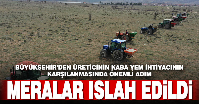 11 ilçede 12 bin dekar mera alanı ıslah edildi