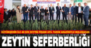 Büyükşehir’den zeytin seferberliği