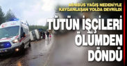 Tütün işçilerini taşıyan minibüs devrildi: 5 yaralı