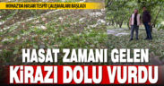 Honaz’da dolu yağışı, hasadı zamanı gelen kirazı dalından döktü