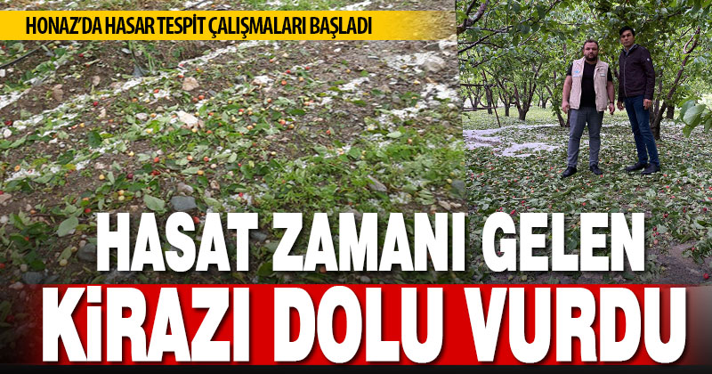 Honaz’da dolu yağışı, hasadı zamanı gelen kirazı dalından döktü