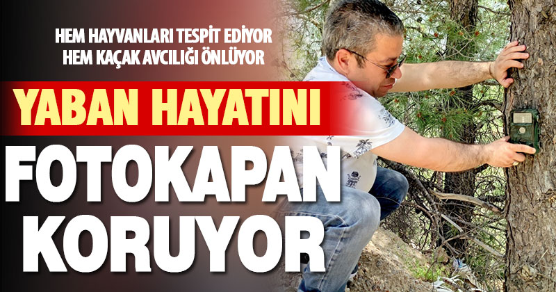 Fotokapanlar yaban hayatını korumak için kuruldu