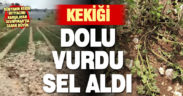Uzunpınar’da bazı kekik tarlaları doludan, bazıları da selden etkilendi