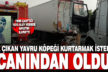 Yola çıkan yavru köpeği kurtarmak isterken canından oldu