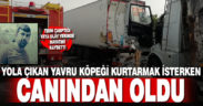 Yola çıkan yavru köpeği kurtarmak isterken canından oldu