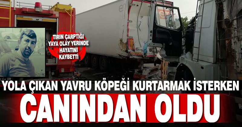 Yola çıkan yavru köpeği kurtarmak isterken canından oldu