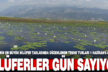 Türkiye’nin en büyük nilüfer tarlasında düzenlenen tekne turları 1 Haziran’a başlıyor